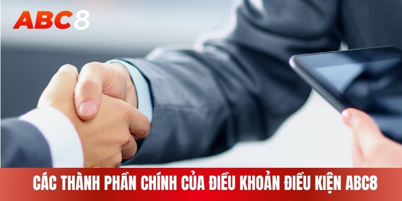 Các thành phần chính của điều khoản điều kiện ABC8