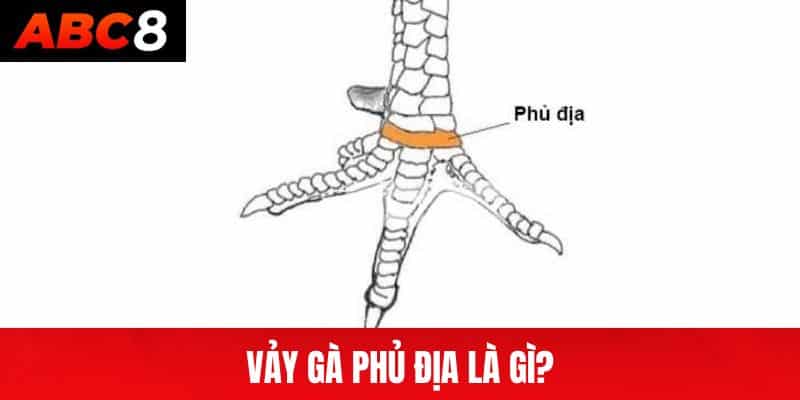 Vảy Gà Phủ Địa Là Gì?