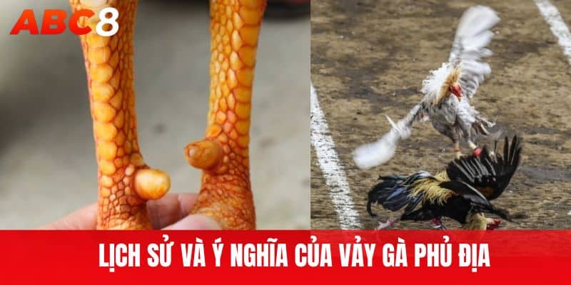 Lịch Sử Và Ý Nghĩa Của Vảy Gà Phủ Địa