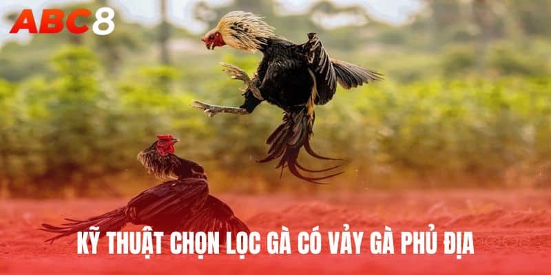 Kỹ Thuật Chọn Lọc Gà Có Vảy Gà Phủ Địa