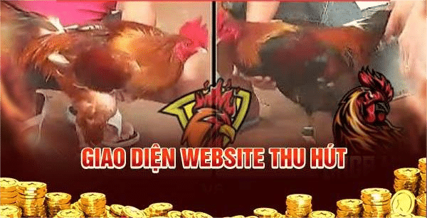 giai dien website thu hut